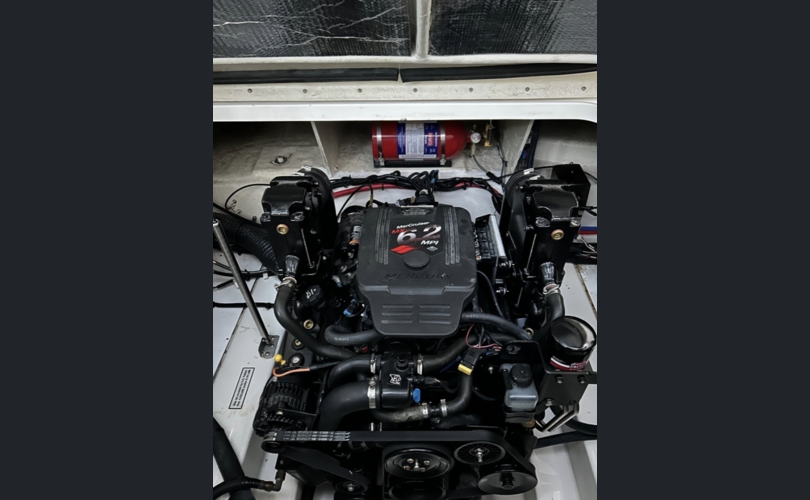 Sea Ray 275 Amberjack-kuva-10